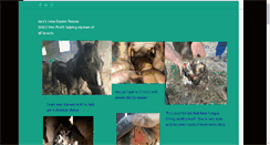 Desktop Screenshot of izzysloveequinerescue.org